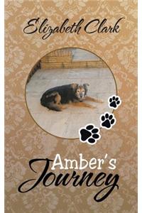 Amber's Journey