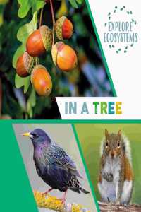 Explore Ecosystems: In a Tree