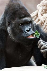 Gorilla Eating Healthy Journal