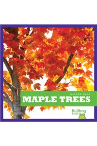 Maple Trees