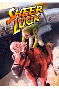 Sheer Luck