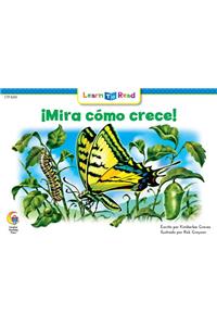Mira Como Crece! = See How It Grows