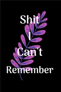 Shit I Can't Remember