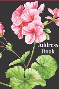 Address Book