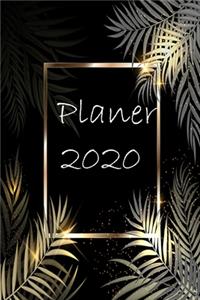 Planer 2020