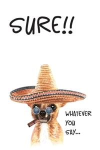 Trust Me. I'm Chihuahua. SURE. Whatever You Say.
