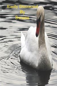 Easily Distracted By Swans