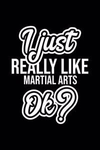 I Just Really Like Martial Arts Ok?