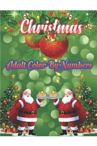 Christmas Adult Color By Numbers