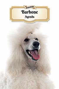 2020 Barbone Agenda