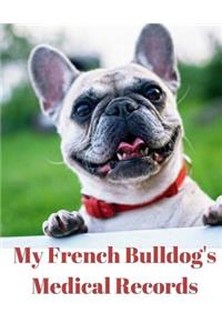 My French Bulldog's Medical Records