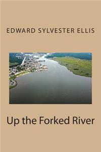 Up the Forked River