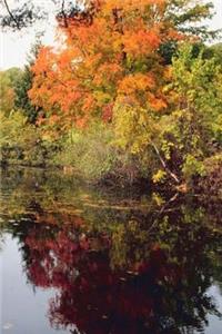 2019 Daily Planner Fall Lake Autumn Season 384 Pages