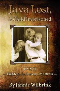 Java Lost, A Child Imprisoned - II