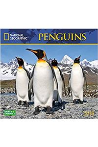 National Geographic Penguins 2018 Wall Calendar