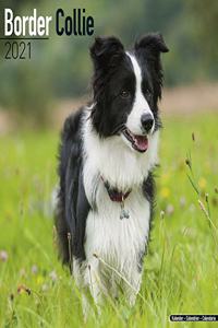 Border Collie 2021 Wall Calendar