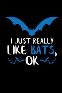 I Just Really Like Bats, Ok
