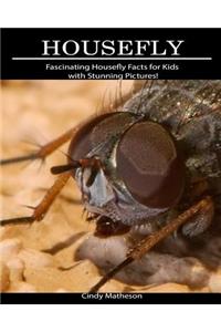 Housefly: Fascinating Housefly Facts for Kids with Stunning Pictures!