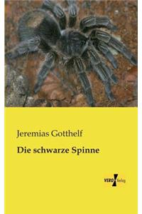 schwarze Spinne