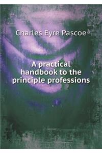 A Practical Handbook to the Principle Professions