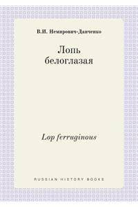 Lop Ferruginous