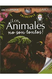 Increible Enc. Los Anmales No Son Tontos