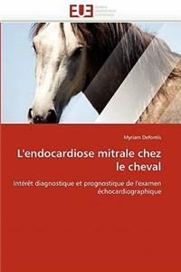 L''endocardiose Mitrale Chez Le Cheval