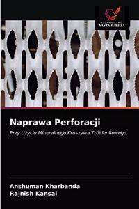 Naprawa Perforacji