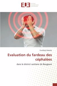 Evaluation du fardeau des céphalées