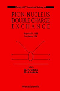 Pion-Nucleus Double Charge Exchange - 2nd Lampf Workshop