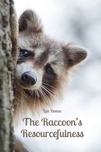 Raccoon's Resourcefulness