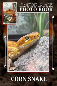 Corn Snake Photo Book