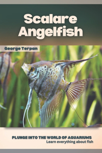 Scalare Angelfish