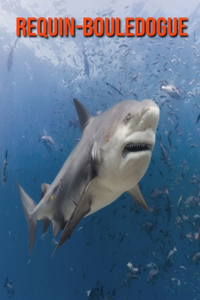 Requin-Bouledogue