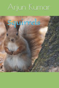 Squirrels