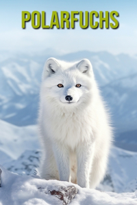 Polarfuchs