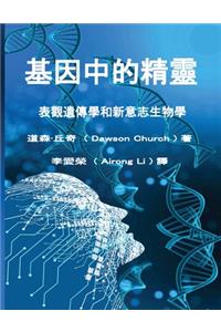 Tranditional Chinese Edition of The Genie in Your Genes