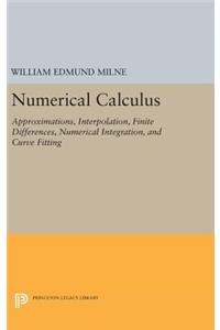 Numerical Calculus