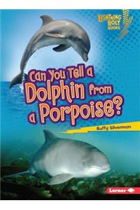 Can You Tell a Dolphin from a Porpoise?