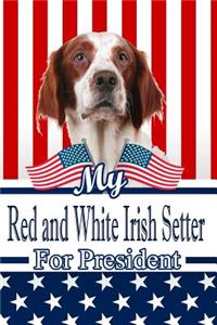 My Red and White Irish Setter for President