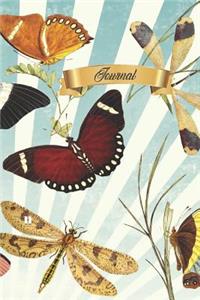 Journal
