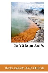 Die Prarie Am Jacinto