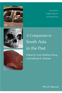 Companion to South Asia in the Past