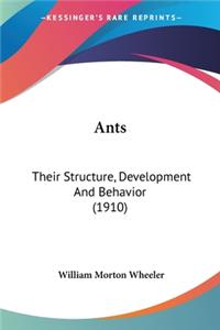 Ants