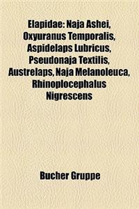 Elapidae