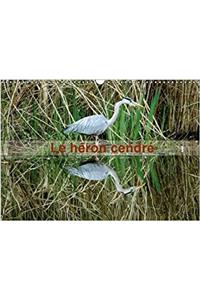 Le Heron Cendre 2017