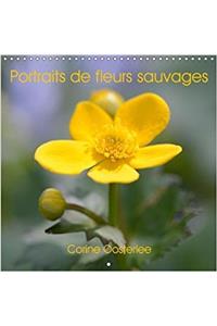 Portraits De Fleurs Sauvages 2018