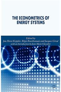 Econometrics of Energy Systems