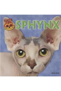 Sphynx