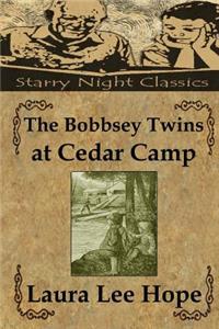 Bobbsey Twins at Cedar Camp